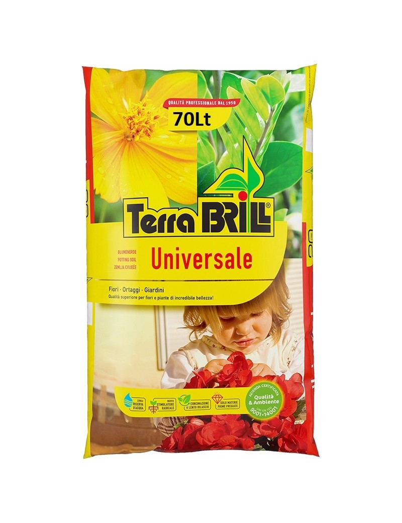 Universale TerraBRILL 70Lt