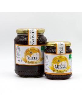 Miele di Melata di Bosco